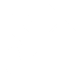 Saberis Logo